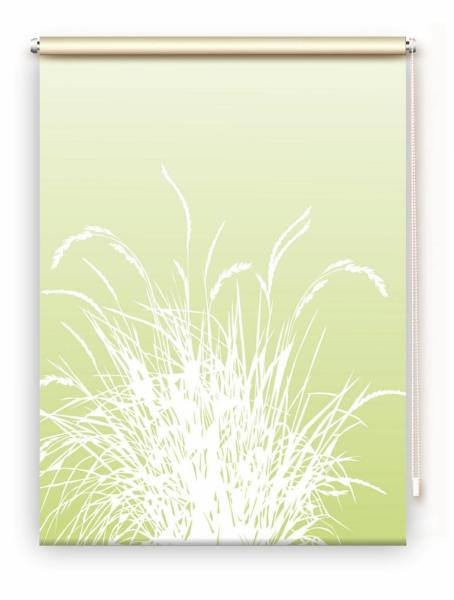 Rollo Reed24 Apfel dark, Rollo, Motivrollo, Rollo mit Druck, Fotorollo, bedrucktes Rollo, Fensterrollo,verdunkelndes Rollo, Sonnenschutz Rollo
